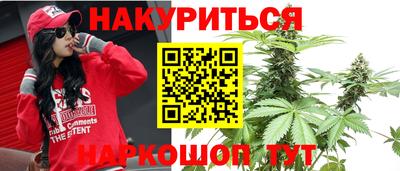 мдпв Владимир