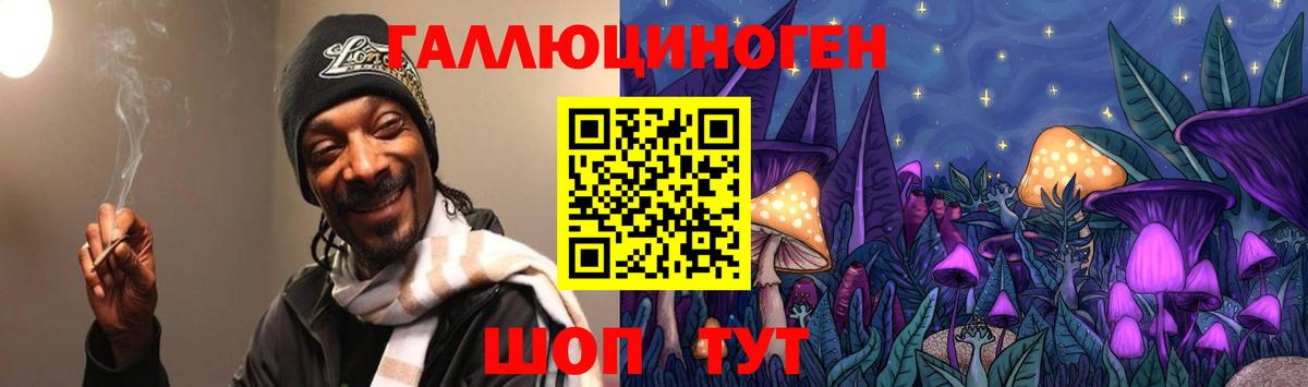 Псилоцибиновые грибы Cubensis Реутов